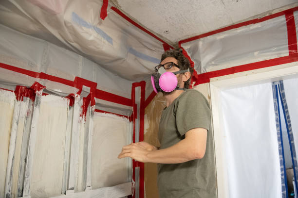 Best Emergency Mold Remediation  in North River Shores, FL