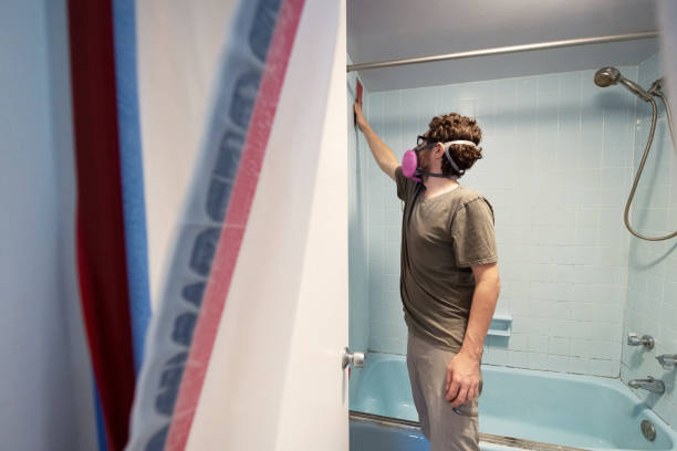 Best Industrial Mold Remediation  in North River Shores, FL