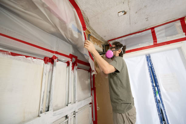 Best Indoor Air Quality Assessment  in North River Shores, FL