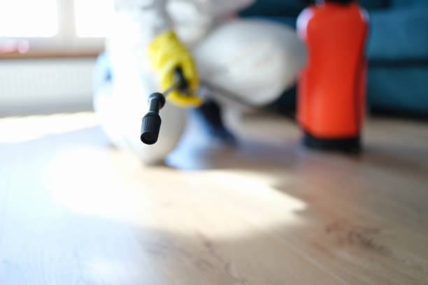 Best Biohazard Mold Removal  in North River Shores, FL
