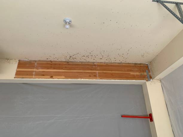 Best Residential Mold Inspection & Testing  in North River Shores, FL